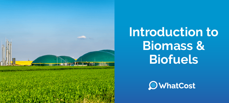 Biomass and Bio Fuel