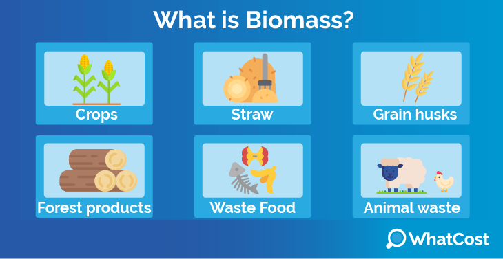 What is biomass