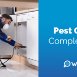 Pest Control Complete Guide: 2024